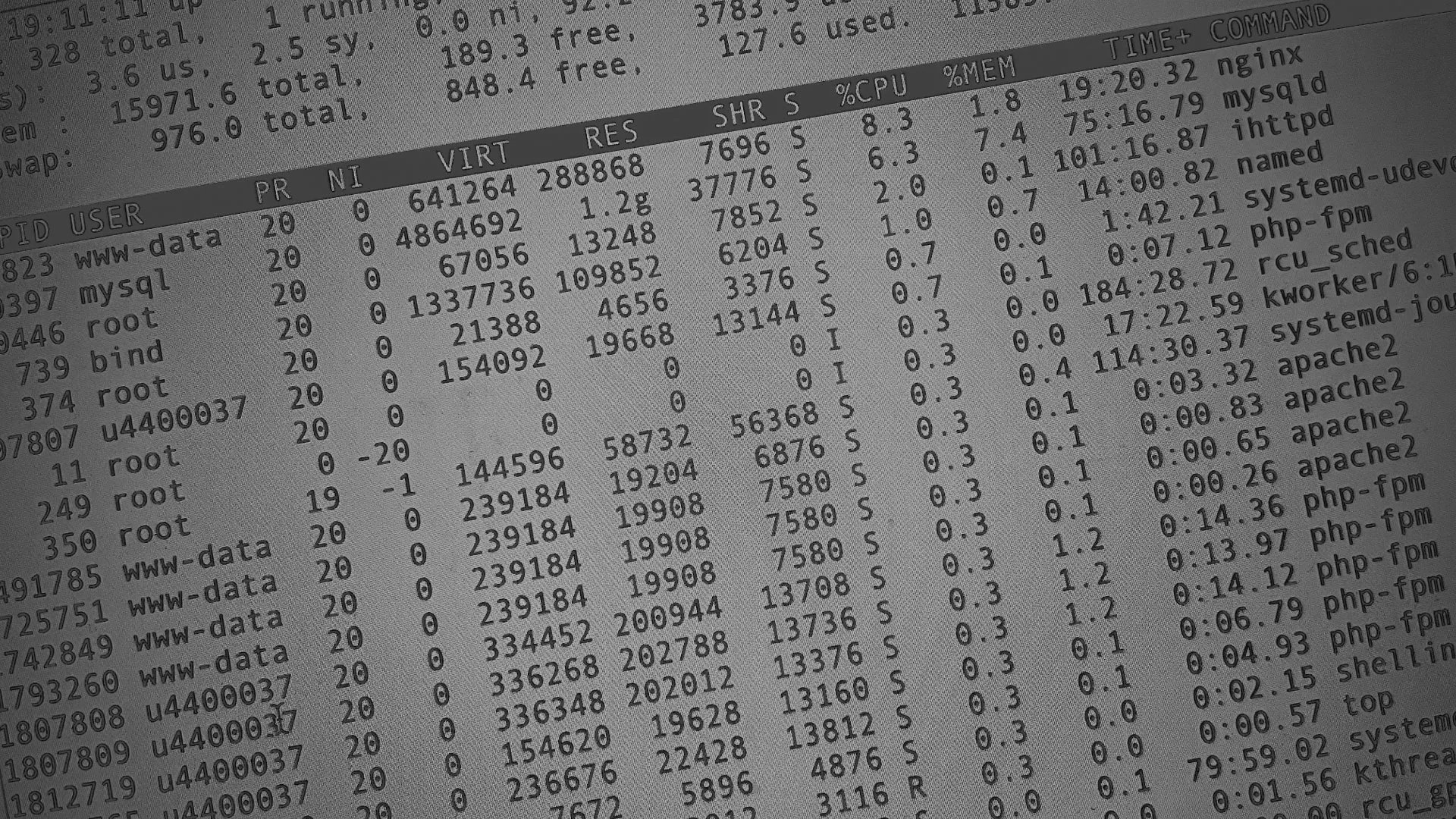 Настройка сервера в Павловске Настройка сервера в Павловске